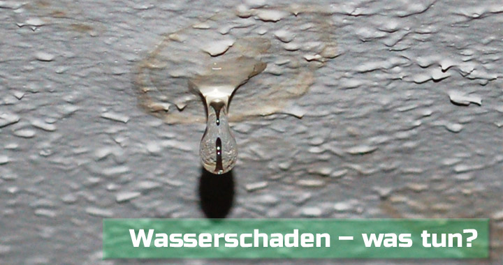 Wasserschaden Was Tun