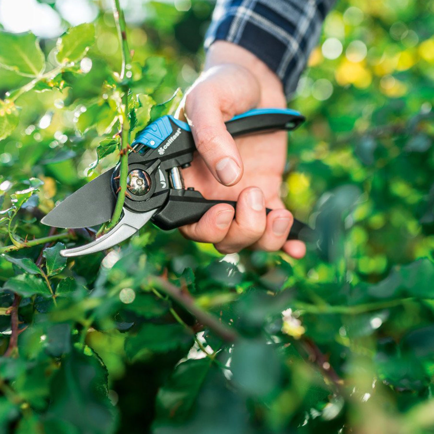 Bypass-Gartenschere ERGO | Jetzt kaufen bei der-schlauchfritze.de – Bild 3